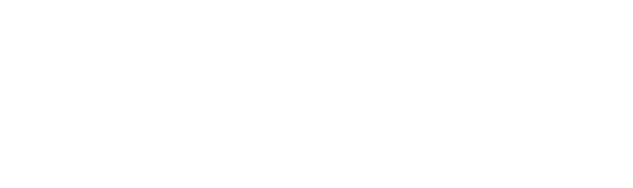 Logotipo de la empresa en blanco